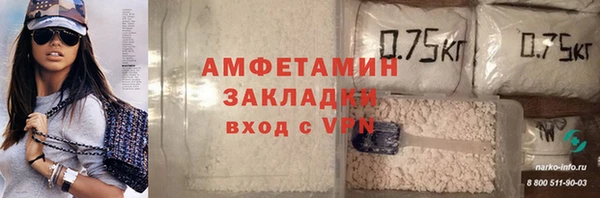 шишки Алзамай
