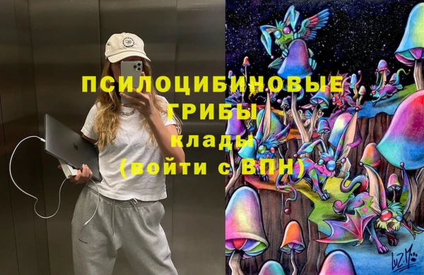 СК Нефтегорск
