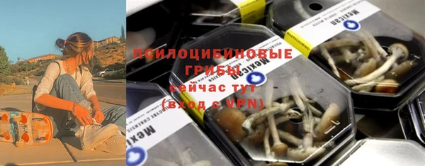 шишки Алзамай