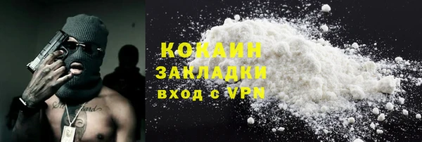 шишки Алзамай