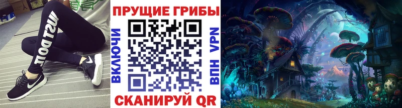 darknet официальный сайт  mega как зайти  Прохладный  Галлюциногенные грибы MAGIC MUSHROOMS 